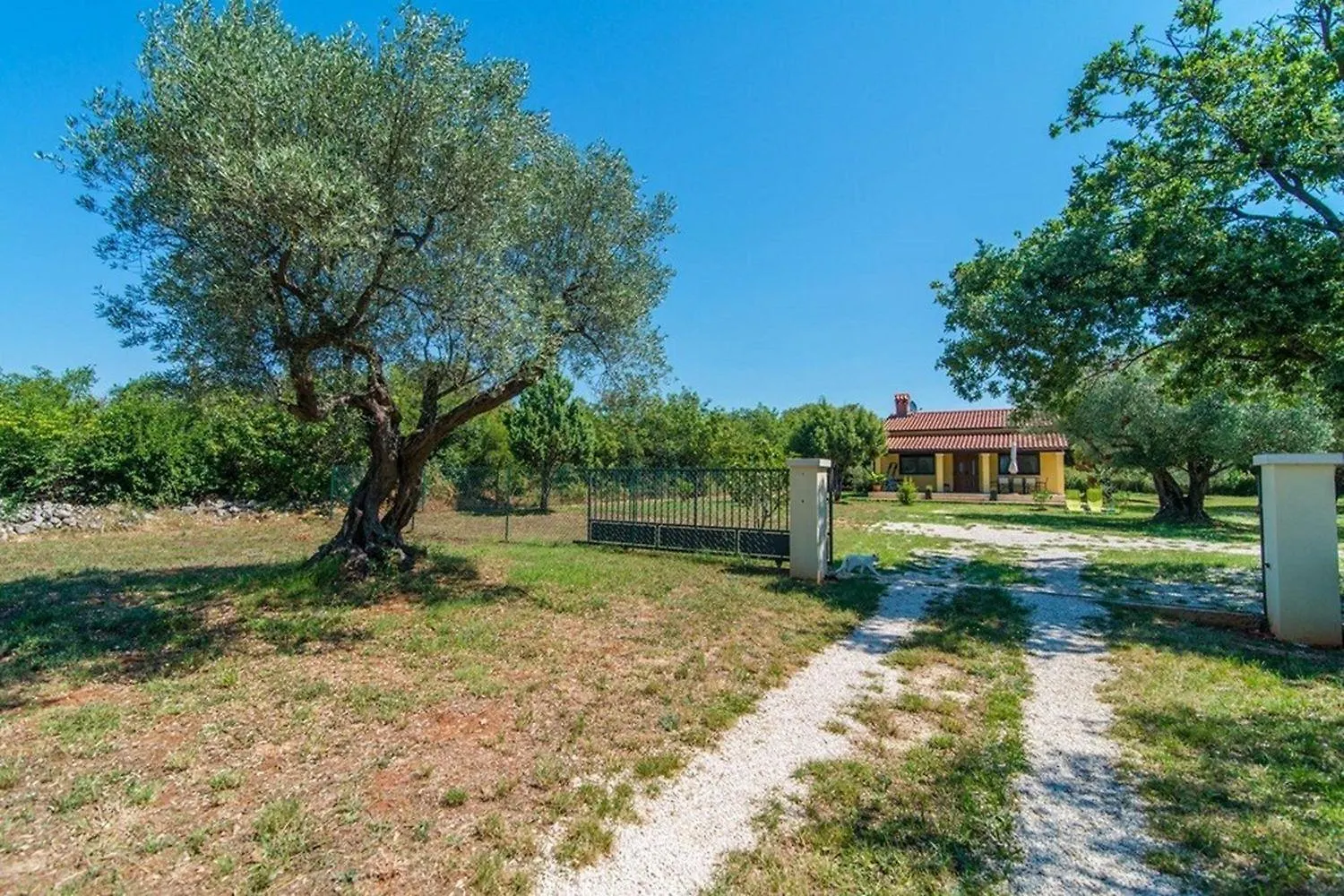 Hundefreundliches Ferienhaus Nur 500 Meter Zum Strand Mit Meerblick Und Tollem Privatgarten Ρόβινι 0*,  Κροατία